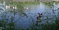 Copie de IMG_0311.jpg